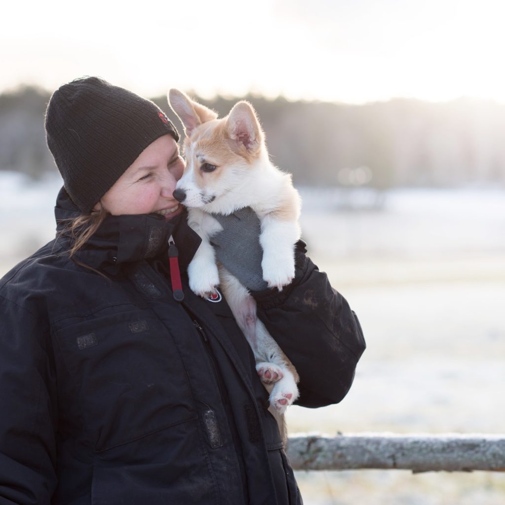 Hundfotograf Kickan Nikolic. Hundfotograf i Stockholm